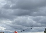 1728579274955(1).jpeg