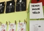 Berušky poznávají svoje tělo a smysly